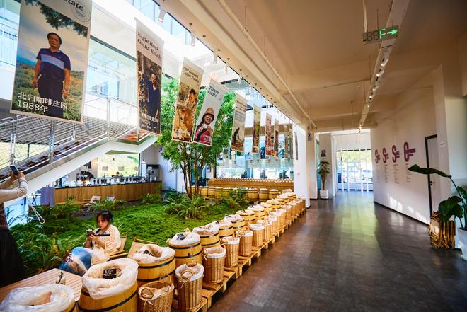 咖啡文化深入了解背后的文化故事CQ9电子普洱北归咖啡庄园体验(图7) 咖啡文化深入了解背后的文化故事CQ9电子普洱北归咖啡庄园体验(图7)